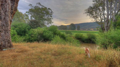 Buffalo River Homestead - C Tourism 3