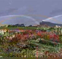 Boat Harbour Garden Cottages - C Tourism