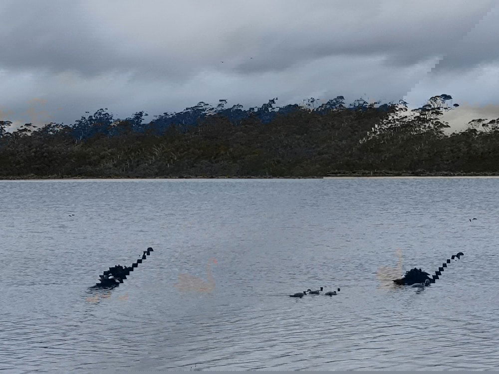 Lake Leake TAS C Tourism