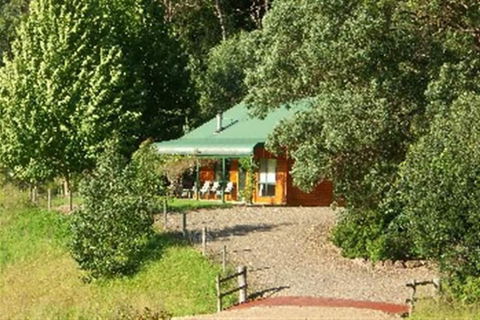 Paradise House - C Tourism 3