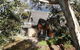 Habitat Chalet - thumb 0