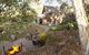 Habitat Chalet - thumb 1