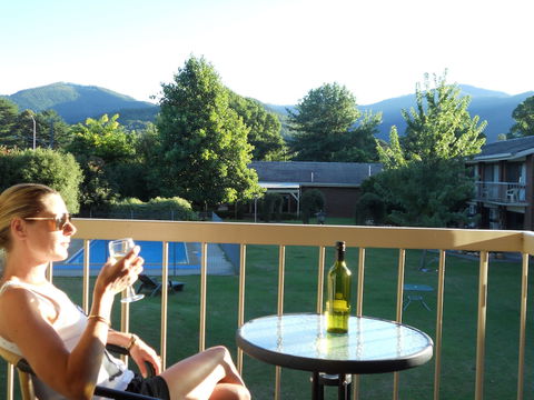 Bogong View Motor Inn - C Tourism 6