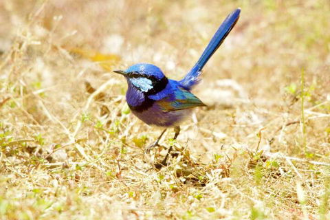 Yelverton Brook Conservation Sanctuary - C Tourism 2