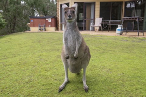 Yelverton Brook Conservation Sanctuary - C Tourism 0