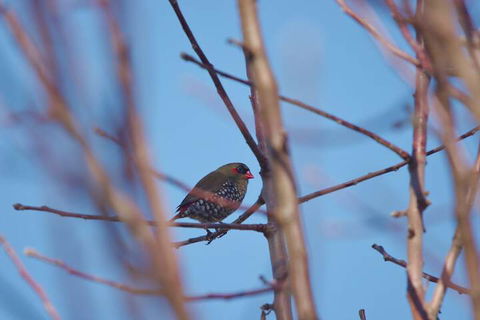 Yelverton Brook Conservation Sanctuary - C Tourism 1