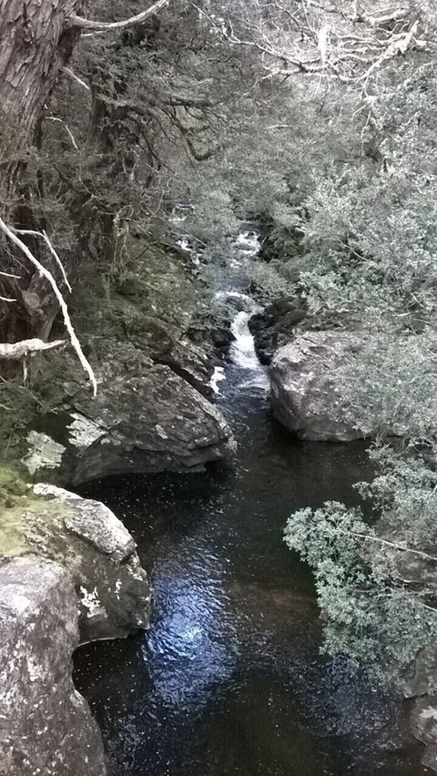 Tranquilles Bed And Breakfast - C Tourism 3