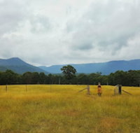 Maya Sanctuary - C Tourism