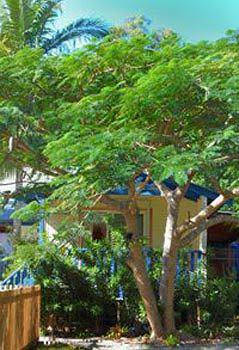 Ewingsdale NSW C Tourism