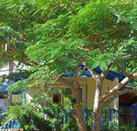 Amber Gardens Guesthouse - C Tourism
