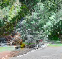 Oasis at Palm Cove - C Tourism