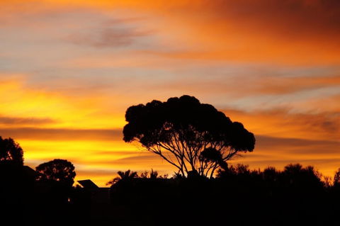 Lindsays Of Kangaroo Island - C Tourism 0