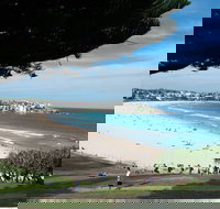 Bondi 38 Serviced Apartments - C Tourism