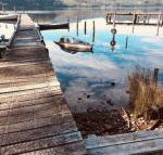 Salt Box Hideaway - C Tourism