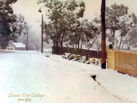 Lemon Tree Cottage - C Tourism 4