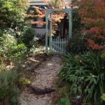 Lemon Tree Cottage - C Tourism 0