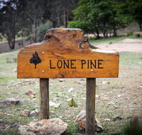 Lone Pine Farmhouse - C Tourism
