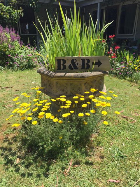 Aashay B & B - C Tourism 5