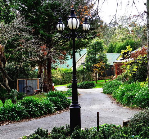 The Oaks Lilydale Accommodation - C Tourism 5