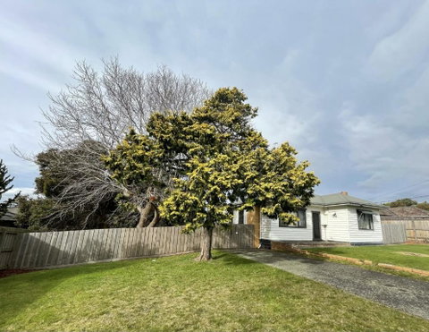Jettycove Beach House - C Tourism 1