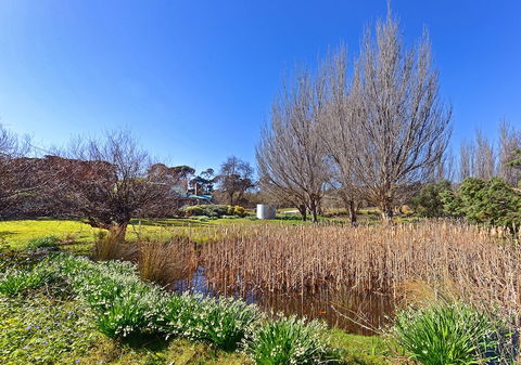 Ventnor Guest House - C Tourism 6