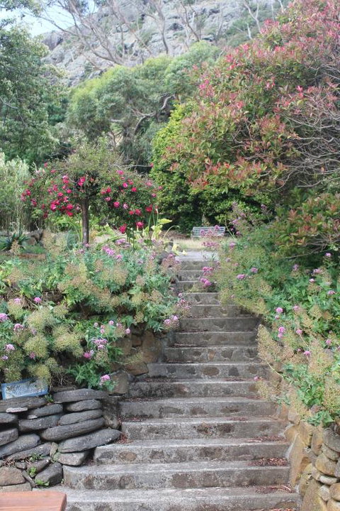 Gardenia House - C Tourism 2