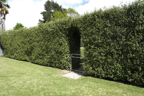 Belford House - C Tourism 1