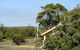 Lonsdale Shores - thumb 3