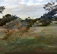 Young Budget Accommodation - C Tourism