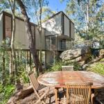 TreetopsatWagstaffe - C Tourism 1