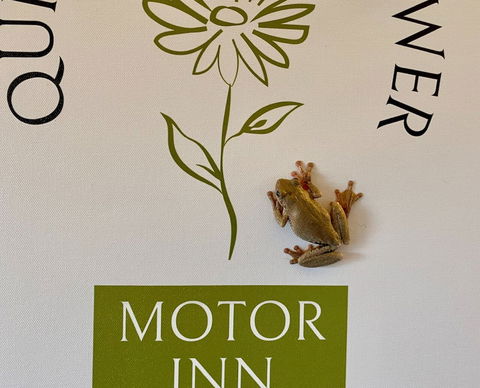 Quirindi Sunflower Motor Inn - C Tourism 2