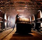 Pieter van Gent Winery  Vineyard - C Tourism