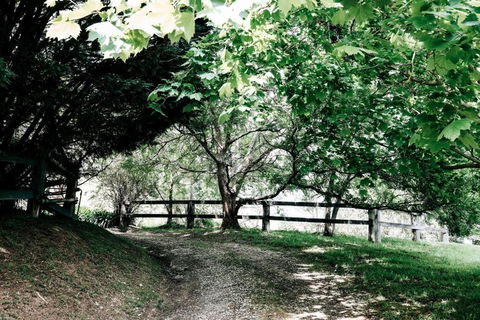 Braebrook Stunning Farm House! - C Tourism 3