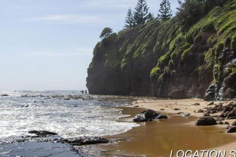 Ocean Mist Cottage Across From Pet Friendly Beach - C Tourism 2