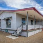 Desert Pea - C Tourism 0