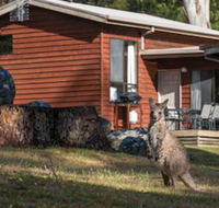 Wonderland Cottages - C Tourism
