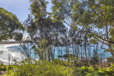 Surfers Ave 17 Narrawallee - C Tourism 2