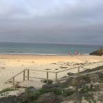 Discover Warilla Bright & Airy Townhouse Near The Beach & Lake - C Tourism 0