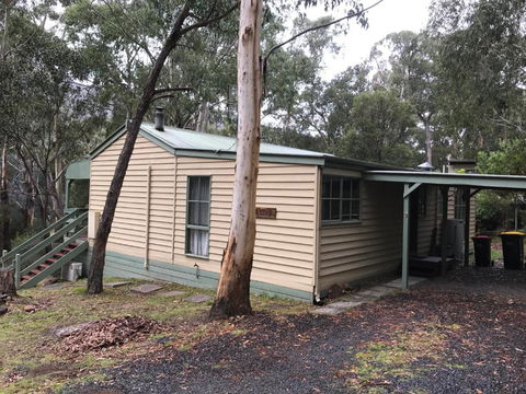 Day Dream Cottage - C Tourism 4