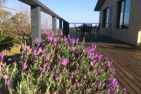 Maleny Mountain Retreat - C Tourism 2