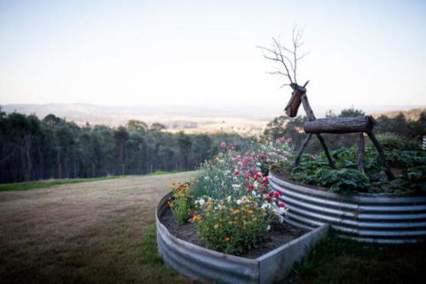 Fork N Farm Artisan Homestead - C Tourism 7