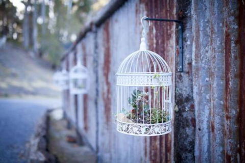 Fork N Farm Artisan Homestead - C Tourism 4