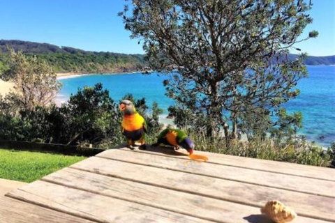 Yallumbee - C Tourism 3