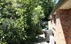 4 Autumn Grove - thumb 4