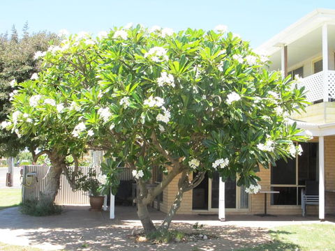 Kalbarri Riverfront Unit - C Tourism 3