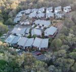 On the Edge of the Forest - C Tourism