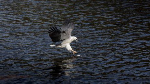 Arthur Riverfront & Sea Lodge Upstream - C Tourism 1