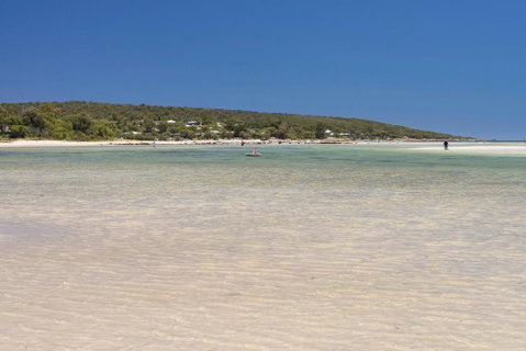 Peppabay - C Tourism 2