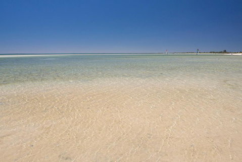 Peppabay - C Tourism 6