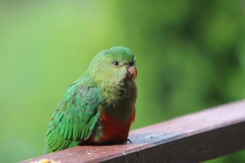 BROWNS COTTAGE - C Tourism 2